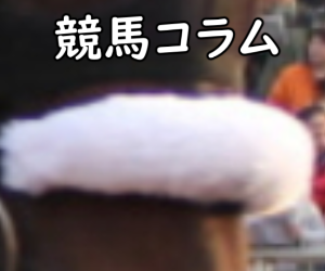 神戸新聞杯で負けた名馬「クロフネ」